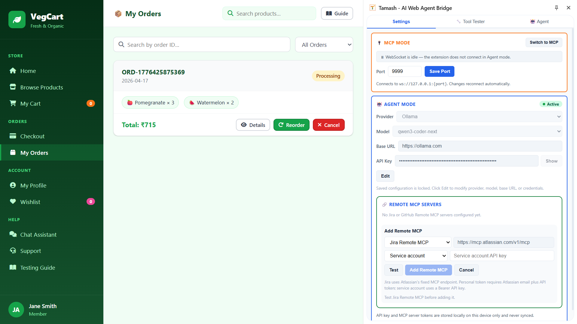 Tamash settings tab showing MCP and runtime configuration